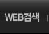 WEB검색